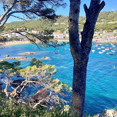 Appartement 1 Mars 1 -